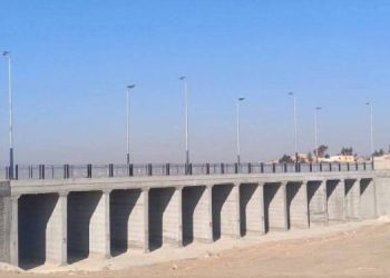 Projeyek ji bo sivikkirina qerebalixiyê li bajarê Hesekê
