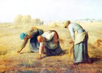 Jin avakera zanistê ye