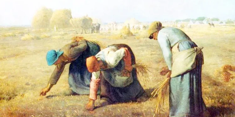Jin avakera zanistê ye