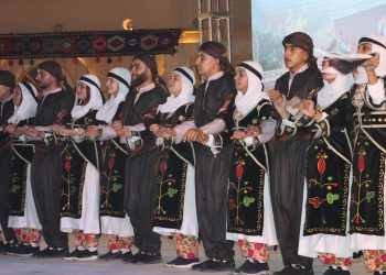 Bi kamîreya Hemza Sêvo