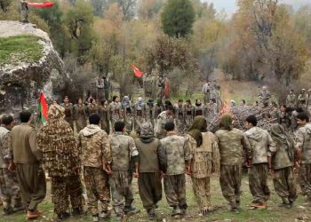 Bingehê derketina PKK’ê bertek û tolhildana dîrokî bû