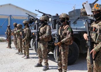 Li Kampa Holê Operasyonên ewlekariyê