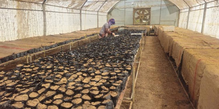 Projeya Demsal; Piştgiriya aboriya jinên kedkar dike