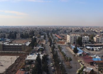 Qamişlo dergûşa şaristanî û pêkhateyan e