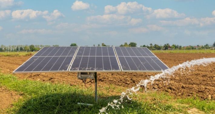 ‘Panelên enerjiya rojê çareseriyek alternatîfe ku asoyên nû ji bo çandiniya domdar vedike’