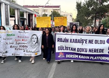 Di doza Rojîn Kabaîş de; Bêdengî û bêedaletiya dewletê