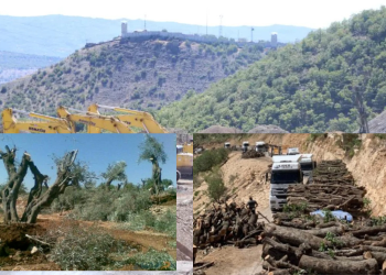 Xwezaya Kurdistanê tê talankirin