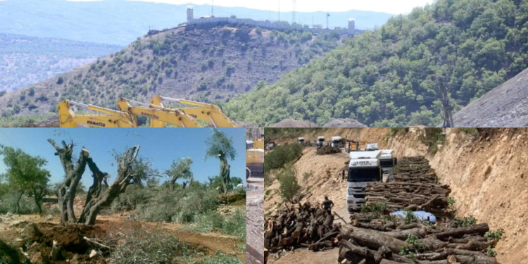 Xwezaya Kurdistanê tê talankirin