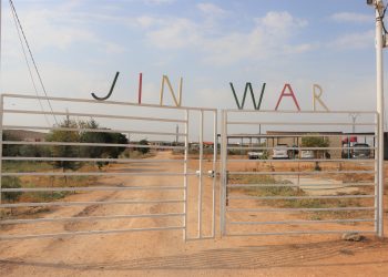 Li dora jinê jiyan diafire Jinwar jî wê jiyanê xweş dike
