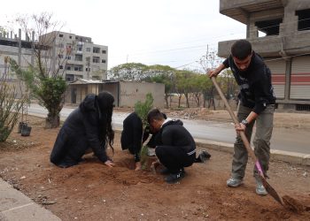 ‘Armanca me xemilandin û paqjiya ekolojiya welat e’