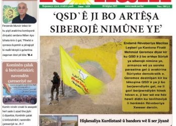 ‘QSD`Ê JI BO ARTÊŞA SIBEROJÊ NIMÛNE YE’