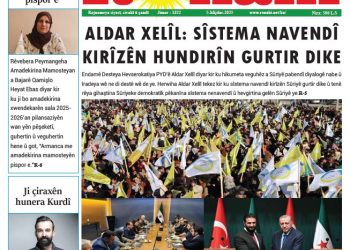 ALDAR XELÎL: SÎSTEMA NAVENDÎ KIRÎZÊN HUNDIRÎN GURTIR DIKE