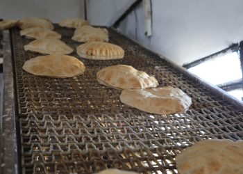 Li bajarokê Til Cemal nangehek hat vekirin