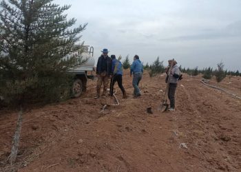 Ji bo parastina jîngehê pêngavên çandina daran dewam dikin