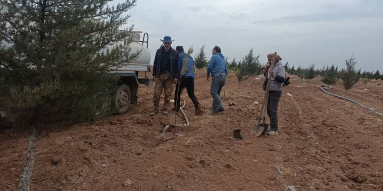 Ji bo parastina jîngehê pêngavên çandina daran dewam dikin