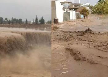 ‘Alîkariyên mirovî sînoran nas nake’