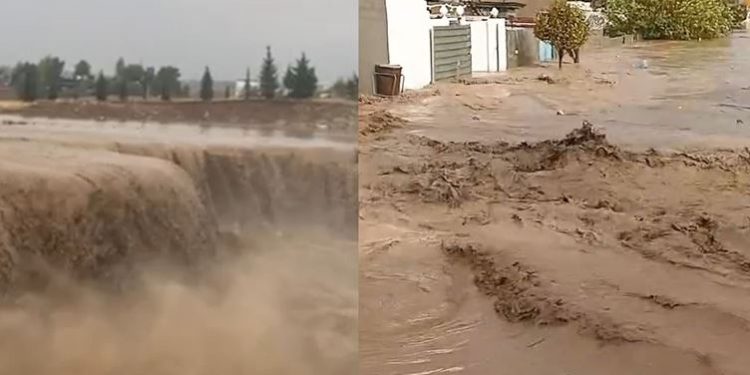 ‘Alîkariyên mirovî sînoran nas nake’