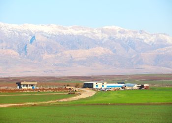 Bi kamîreya Ayşa Silêman