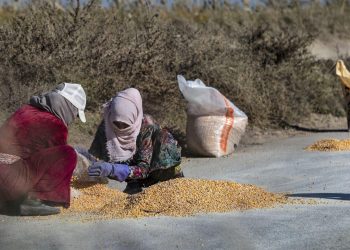 Sedemên kêmbûna hilberîna çandiniyê li Sûriyê, pirsgirêk û çareseriyên gengaz