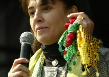 Leyla Zana; Kî ye, li hember wê çi hat kirin û piştgiriya ku hatiye raberkirin