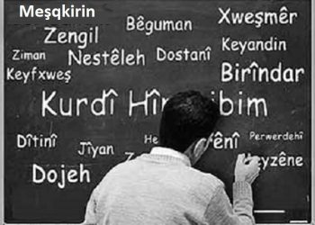 ‘Pêwîstî bi komxebatan heye da ku jêdereke bingehîn a rêzimanê çêbibe’