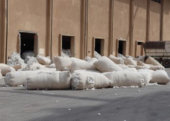 Îsal 38 hezar ton pembo hat wergirtin