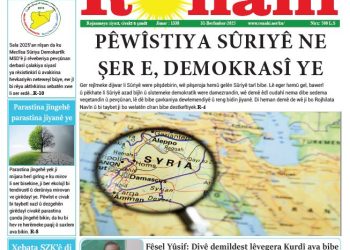PÊWÎSTIYA SÛRIYÊ NE ŞER E, DEMOKRASÎ YE