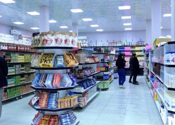 Yek ji pirojeyên mezin ji bo xizmeta gel; Kobanê Mol
