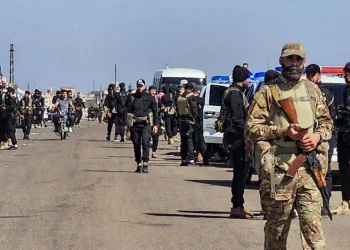 ‘Divê Neteweyên yekbûyî li dijî dewleta Tirk û HTŞ’ê helwest nîşan bide’