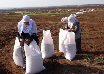 ‘Aboriya Jin hêz û îradeya jinê ye’