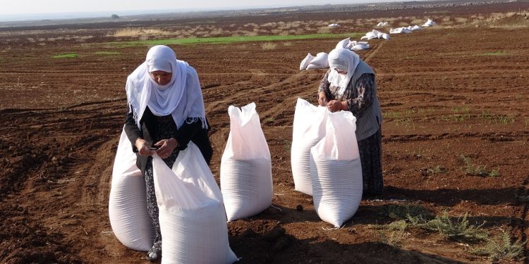‘Aboriya Jin hêz û îradeya jinê ye’