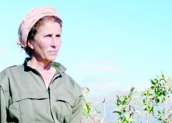 Ji pênûsa Sakîne Cansiz: Jiyana Min Hertim Şer Bû