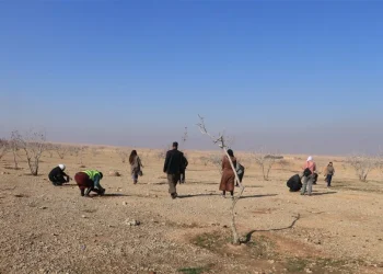 Ji bo zêdekirina qadên kesk Desteya Jîngehê projeyên xwe firehtir dike