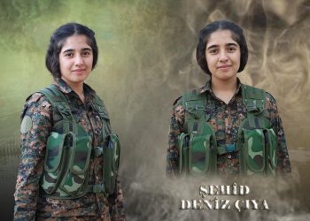 Denîz Efrîn; Fedayiya berxwedana serdemê