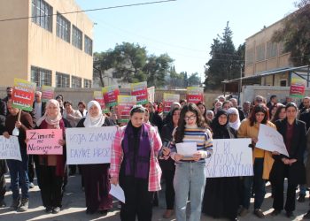 Li bajarê Dêrikê daxuyanî ji bo roja Zimanê Dayikê hat dayîn