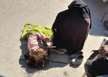 Li Reqayê jinan neçarê parsektiyê dikin