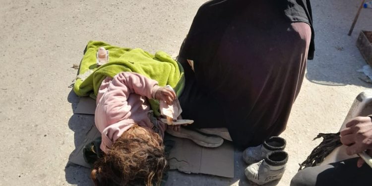 Li Reqayê jinan neçarê parsektiyê dikin
