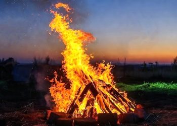 ‘Cejina Newrozê cejinek e netewî ye divê ku her sal were pîrozkirin’
