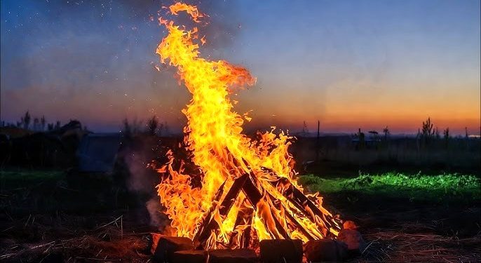‘Cejina Newrozê cejinek e netewî ye divê ku her sal were pîrozkirin’