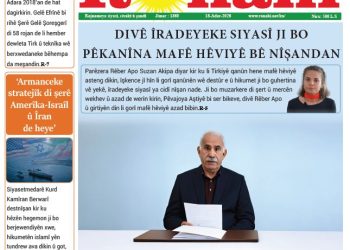 DIVÊ ÎRADEYEKE SIYASÎ JI BO PÊKANÎNA MAFÊ HÊVIYÊ BÊ NÎŞANDAN