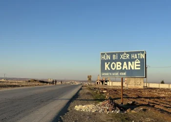 Almaz Rûmî: Ji Şoreşa Rojava heta Rêveberiya Şaredariya Kobanê