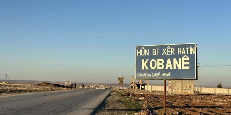 Almaz Rûmî: Ji Şoreşa Rojava heta Rêveberiya Şaredariya Kobanê
