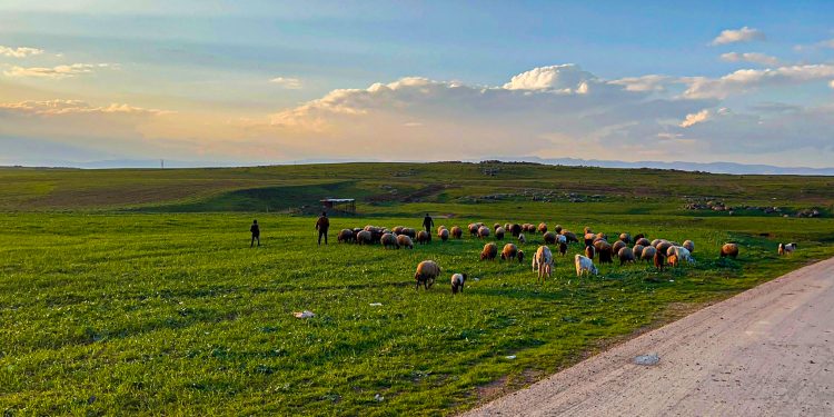 Bi kamîreya Amara Baran