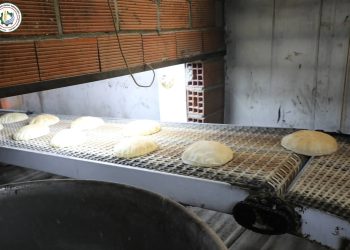 Ji bo dabînkirina nan hewildanên rêxistinkirina nangehan berdewam e