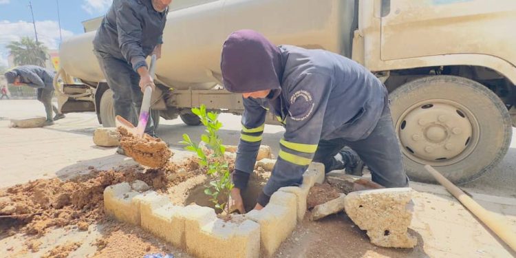 Ji bo zêdekirina qadên kesk li bajarê Qamişlo dar têne çandin
