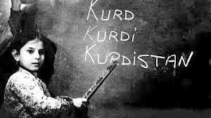 ‘Mersûm mafê zimanê Kurdî garantî nake, divê destûr hebe’