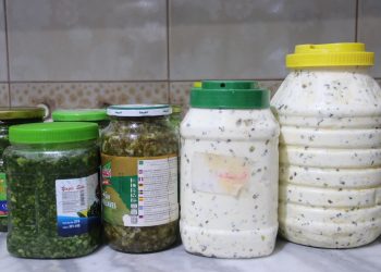 Berhemên Şîr: Dewlemendiya Çanda Kurdî