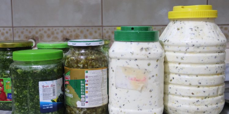 Berhemên Şîr: Dewlemendiya Çanda Kurdî