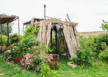 Bi Kamîreya Narama Mihemed