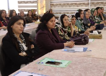 Di nava sazî û rêxistinan de, rola jinên Kurd
